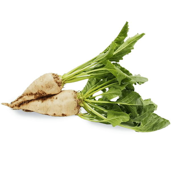 Sugar beets — the natural source of Eco Solutions' liquid de-icer